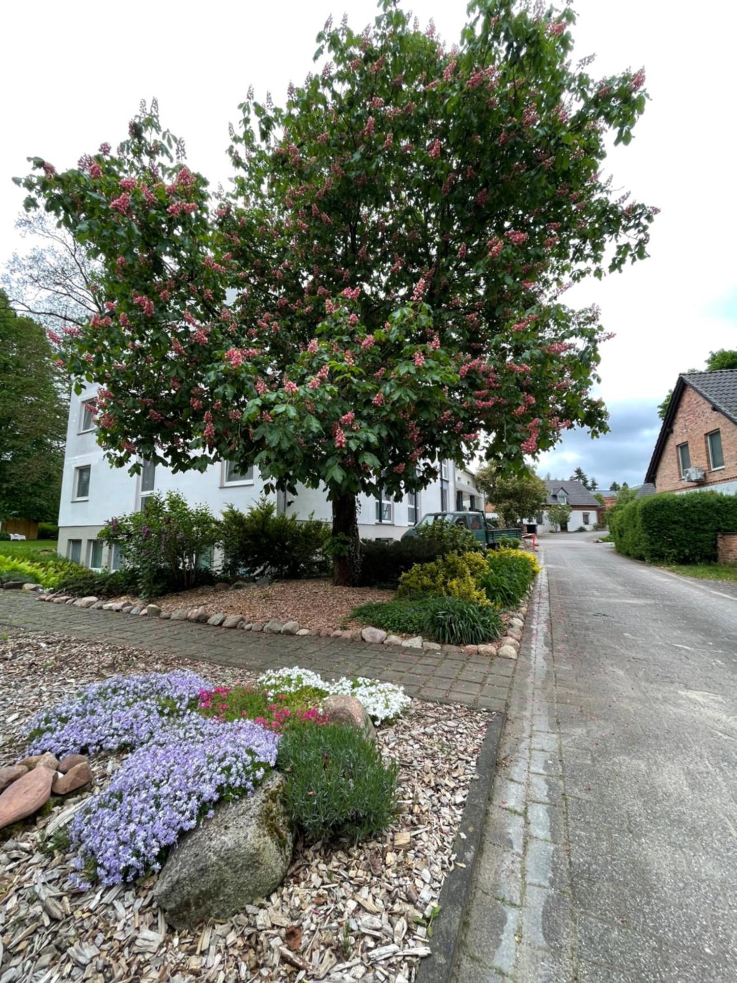 Hotel Luther Birke Wittenberg Buitenkant foto
