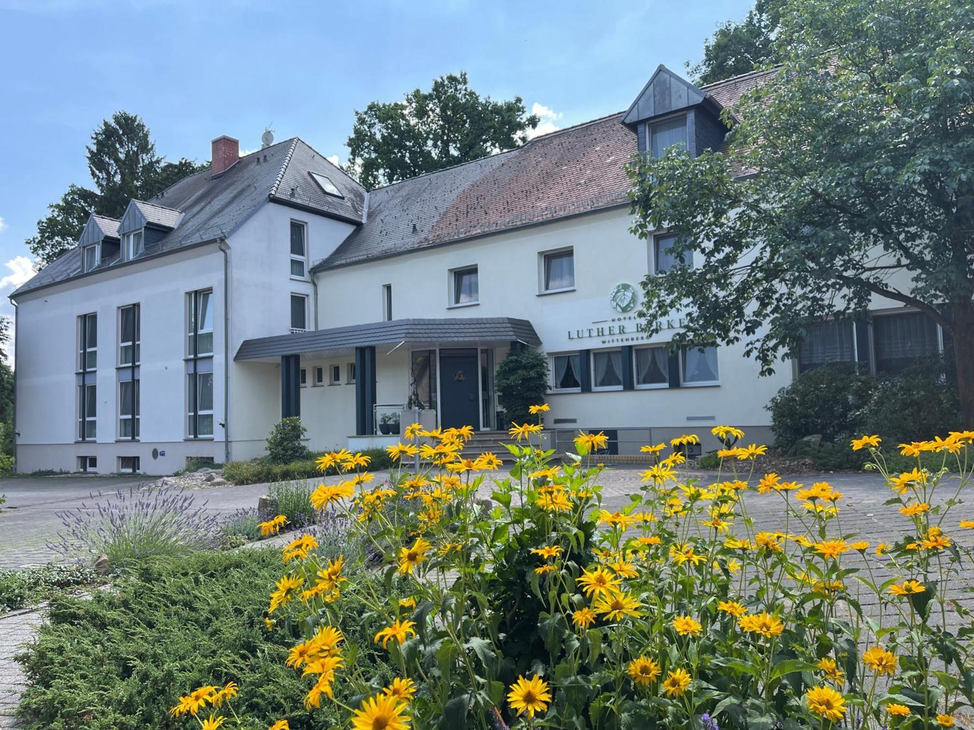 Hotel Luther Birke Wittenberg Buitenkant foto